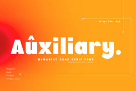 Auxiliary (Demo) Font Family