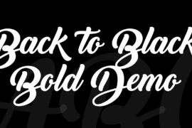 Back to Black Bold Demo Font