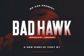 Bad Hawk Demo Font Family