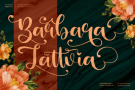Barbara Lattvia Font Family