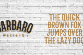 Barbaro Font Family