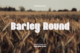Barley Round Demo Font Family