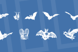 BatBats Font