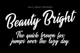 Beauty Bright Personal Use Font