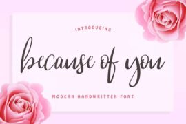 Because Of You Demo Font Family
