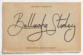 Bellaigho S Demo Font