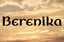 Berenika Font Family