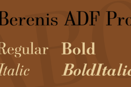 Berenis ADF Pro Font Family