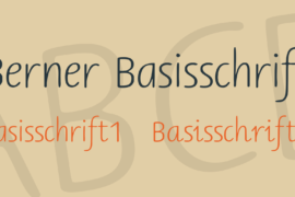 Berner Basisschrift Font Family