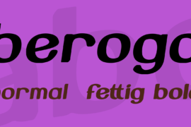 Beroga Font Family