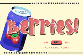 Berries – Personal use Font