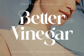 Better Vinegar Demo Font