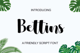 Bettins – Personal use Font