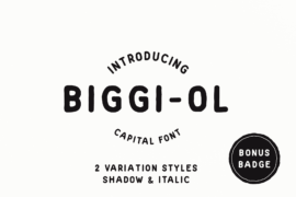 Biggi Ol demo Font