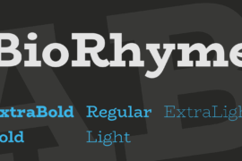 BioRhyme Font Family