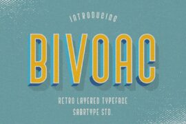 Bivoac Font Family
