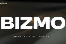 Bizmo Trial Font Family
