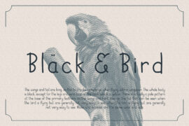 Black Bird DEMO Font