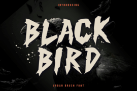 Black Bird Font