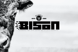 Black bison Font