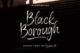 Black Borough Demo Font