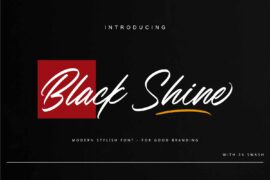 Black Shine Font