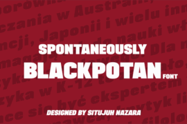 BLACKPLOTAN Font Family