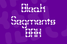 Bleak Segments BRK Font
