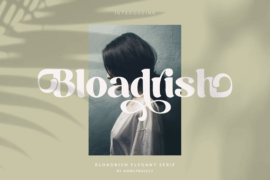 Bloadrish Font