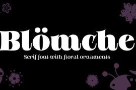 Bloemche All Caps Font Family