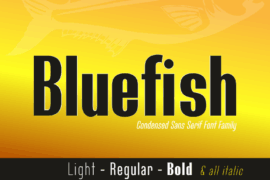 Bluefish Demo Font Family