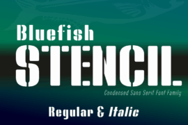 Bluefish STENCIL DEMO Font Family