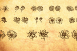 Blumen Font