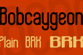 Bobcaygeon Font Family