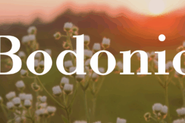 Bodonio Font