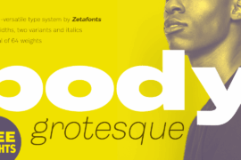 Body Grotesque Font Family