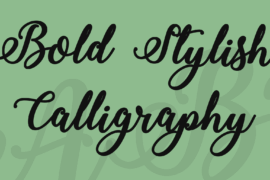 Bold Stylish Calligraphy Font
