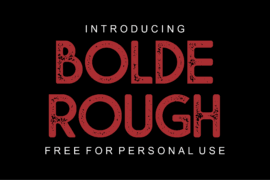 Bolde Rough Font