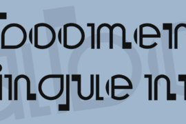 Boomer Ingue NF Font