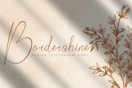 Bordershine Script Font