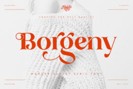 BorgenyDemo Font