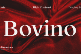 Bovino Trial Font Family