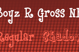Boyz R Gross NF Font Family