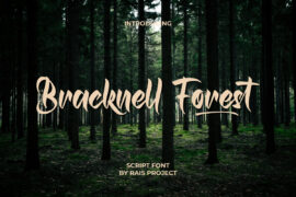 Bracknell F Demo Font
