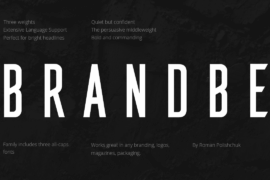 Brandbe Demo Font