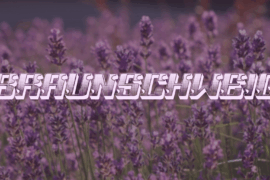 Braunschweig Font Family
