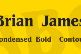 Brian James Font Family
