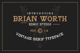 BRIAN WORTH DEMO Font Family