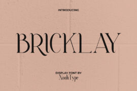 Bricklay Demo Font Family