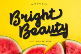 Bright beauty Font